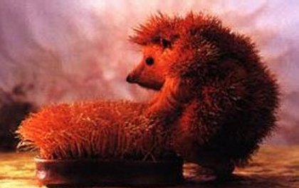 Hedgehog